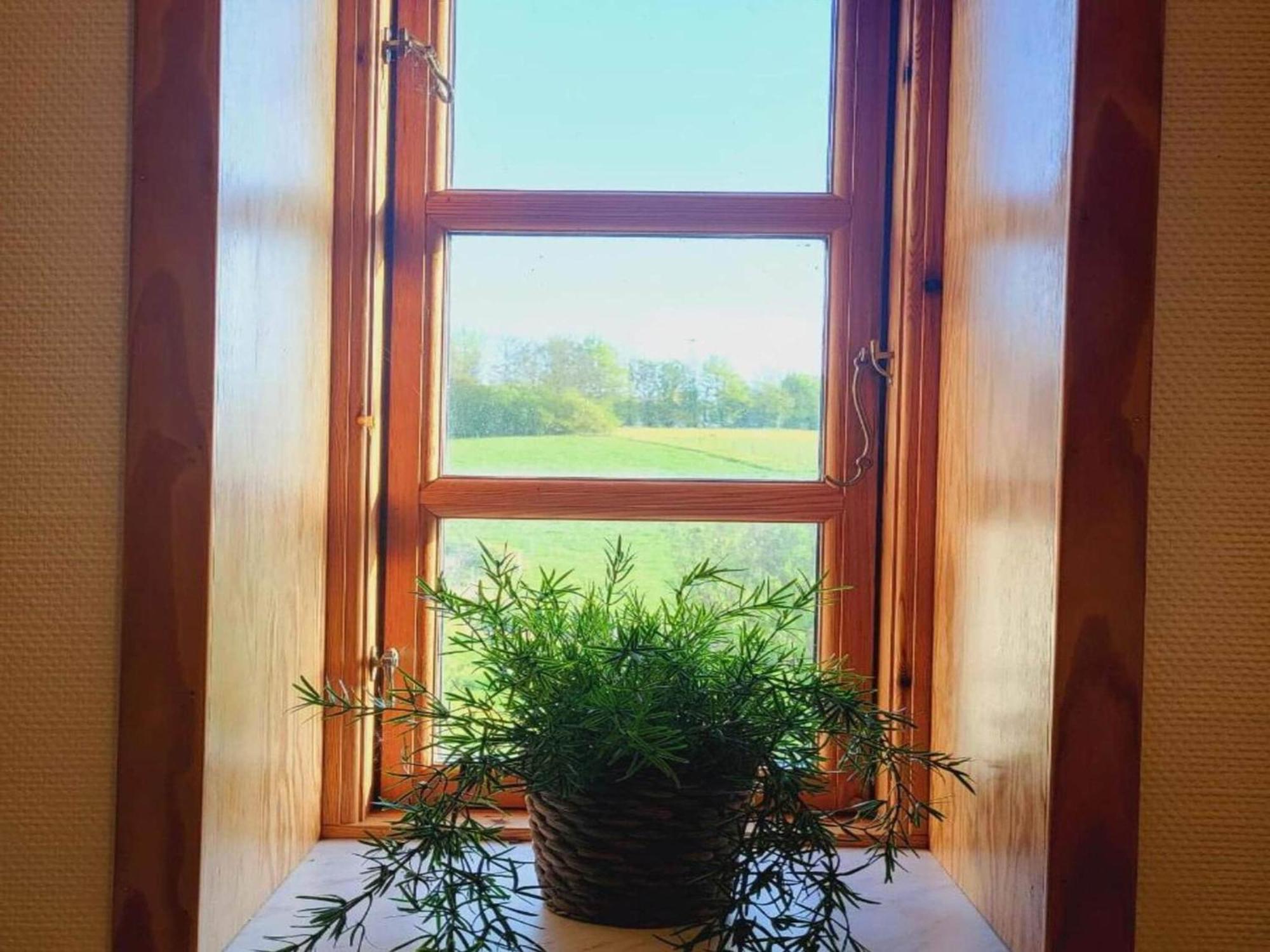 Lysbjerg Appartement Fåborg Buitenkant foto