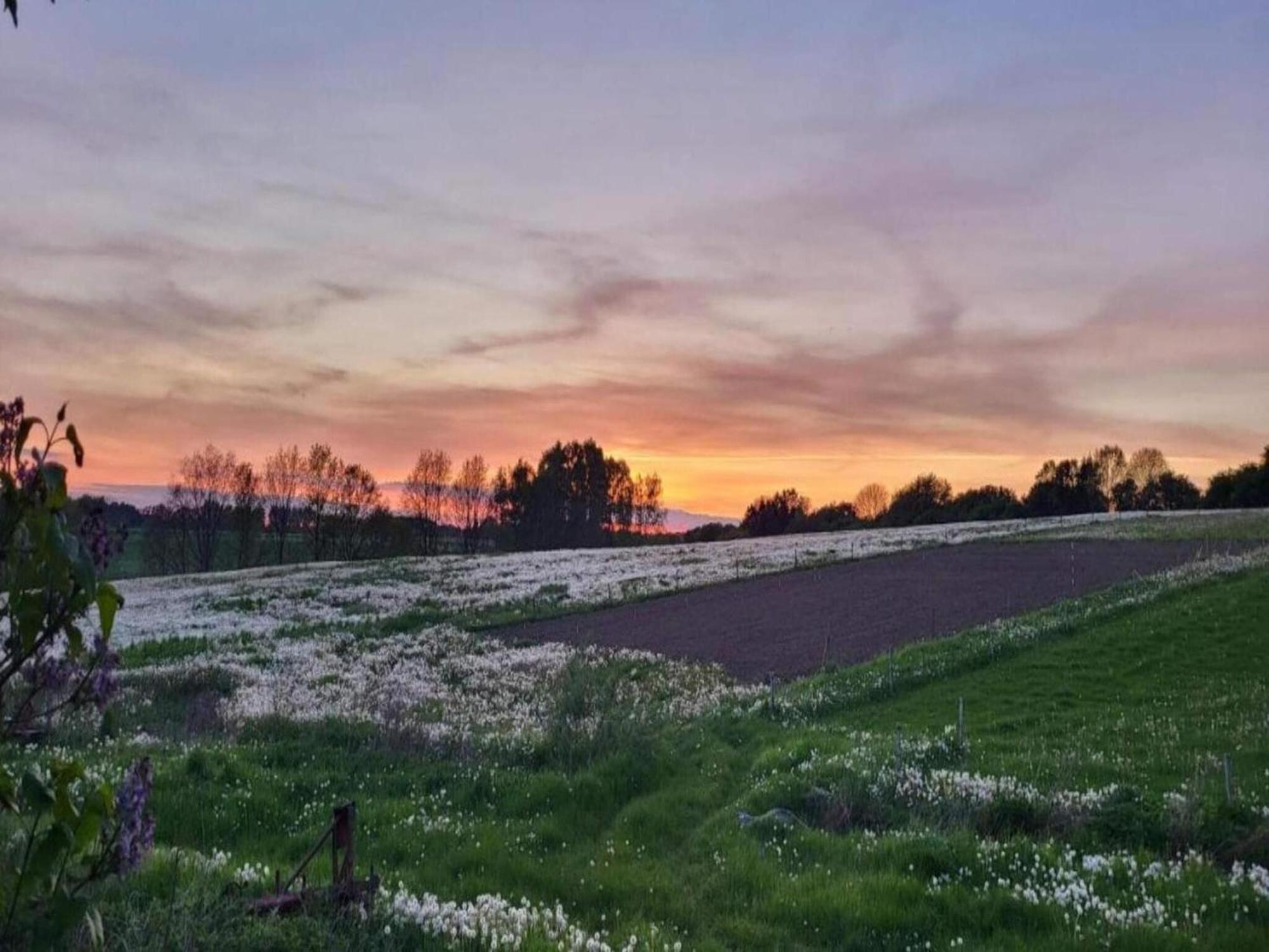 Lysbjerg Appartement Fåborg Buitenkant foto
